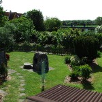 Ferienhaus Fehmarn Garten